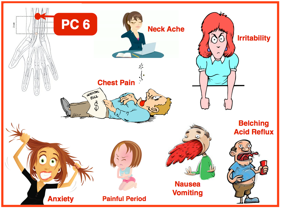 All About the TCM Heart | AcuPro Academy