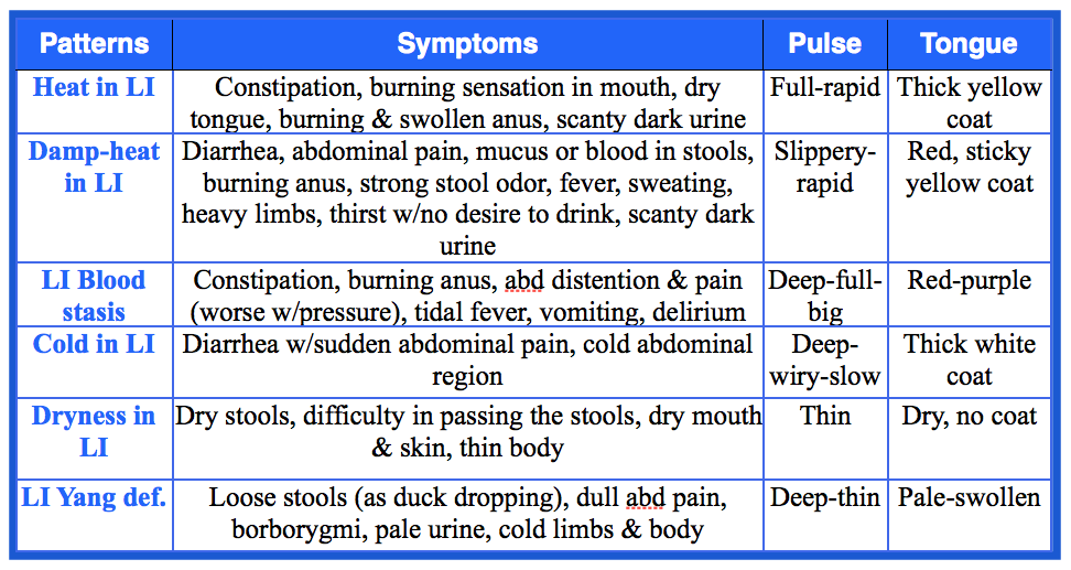 all-about-the-tcm-large-intestine-acupro-academy-acupuncture-online-courses