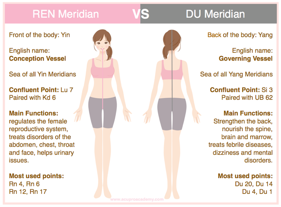 Acupuncture Points For Fertility Chart