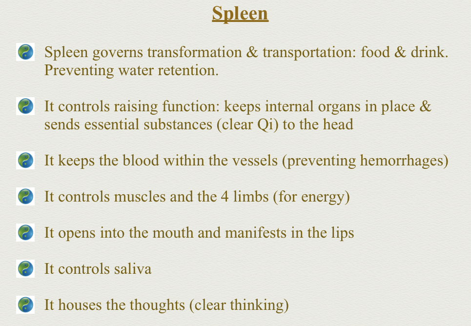 The spleen functions in TCM