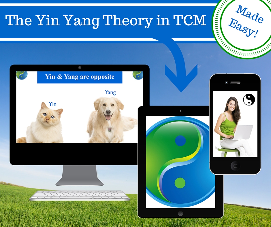 Yin Yang Theory course