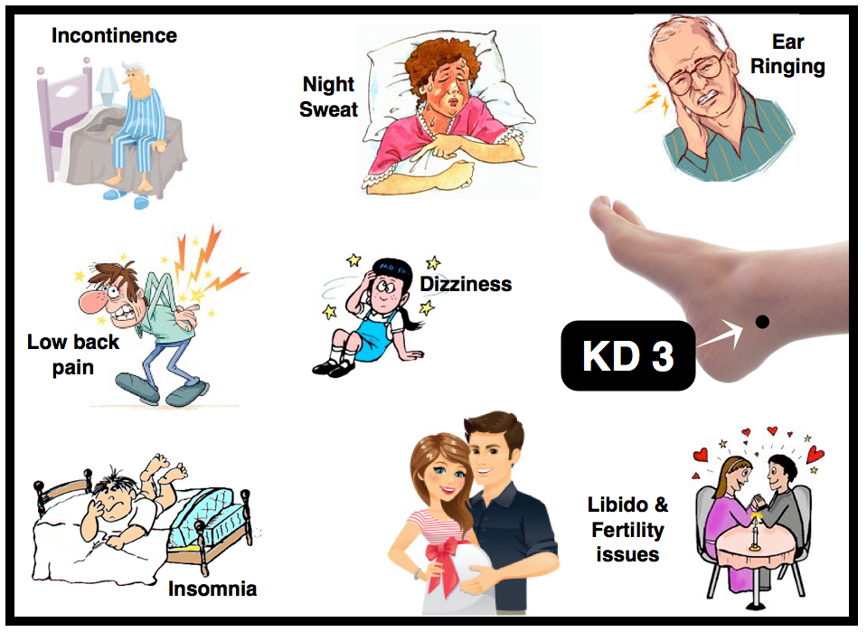 KD-3-acupuncture-point.png