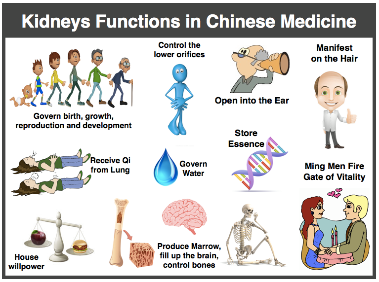 Yin Yang in Chinese Medicine