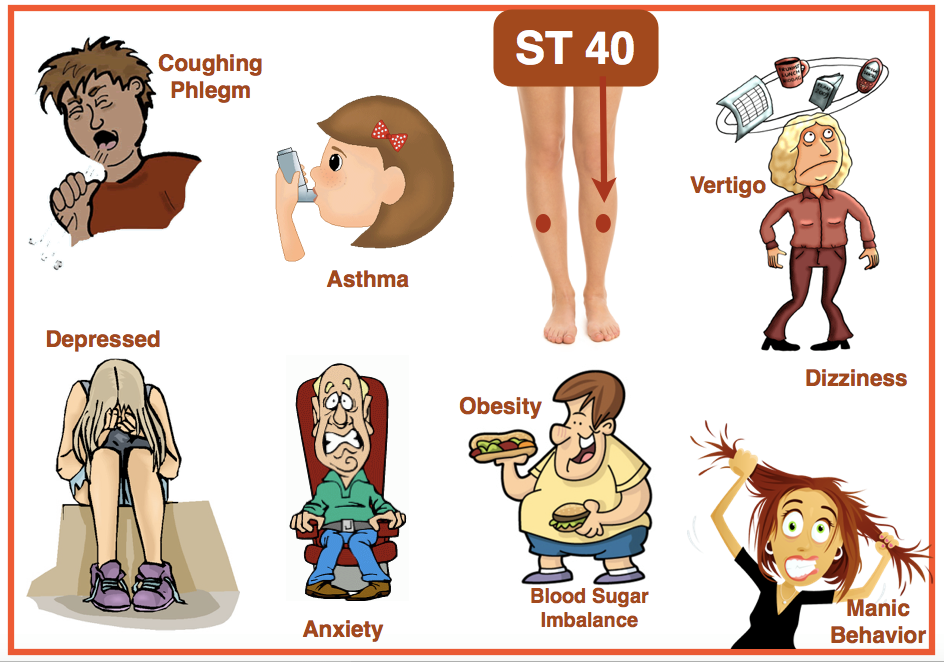 Stomach 40 acupuncture point Yang & Yin Organs