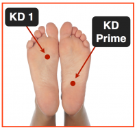  kd-prime-point d'acupuncture 