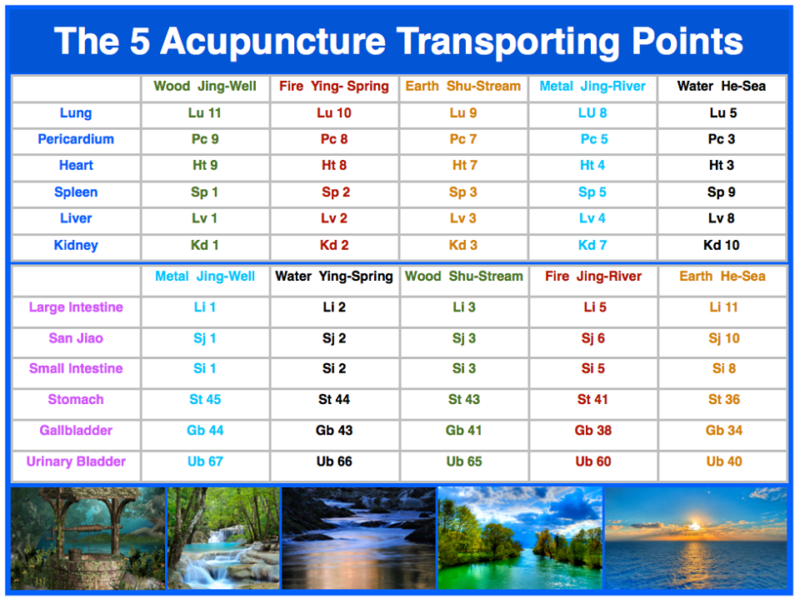 The 5 Shu Transporting Points