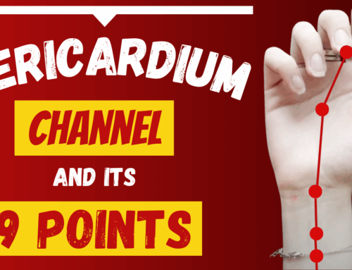 The Pericardium Channel and it’s 9 Acupuncture Points