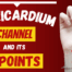 Pericardium 9 acupuncture points channel