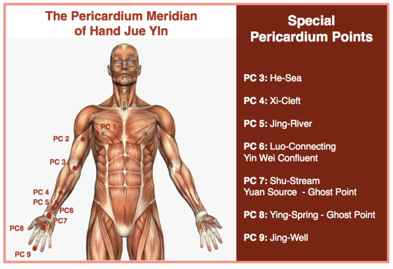 The Pericardium Channel and its 9 Acupuncture Points