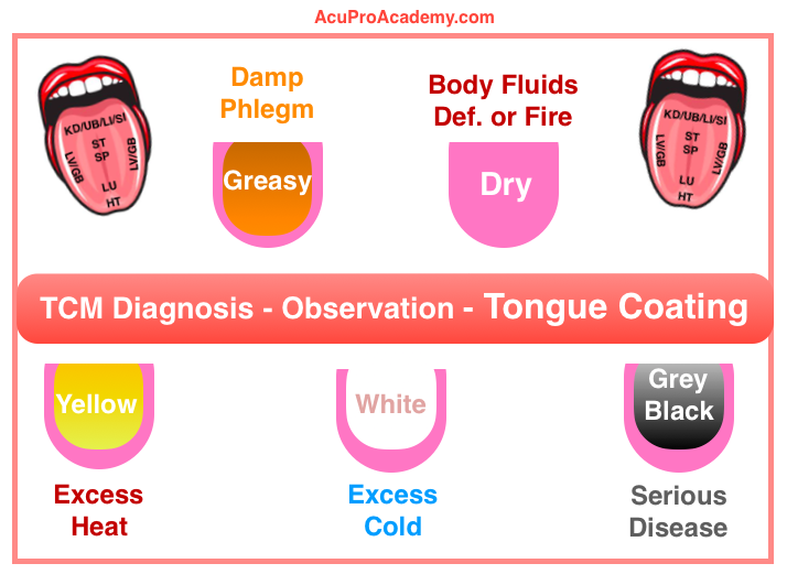 Tcm Diagnosis Made Easy Observation Method Acupro Academy