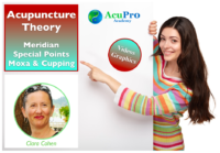 Acupuncture Theory And Acupuncture Points