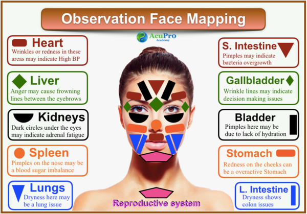 Face Mapping in Chinese Medicine