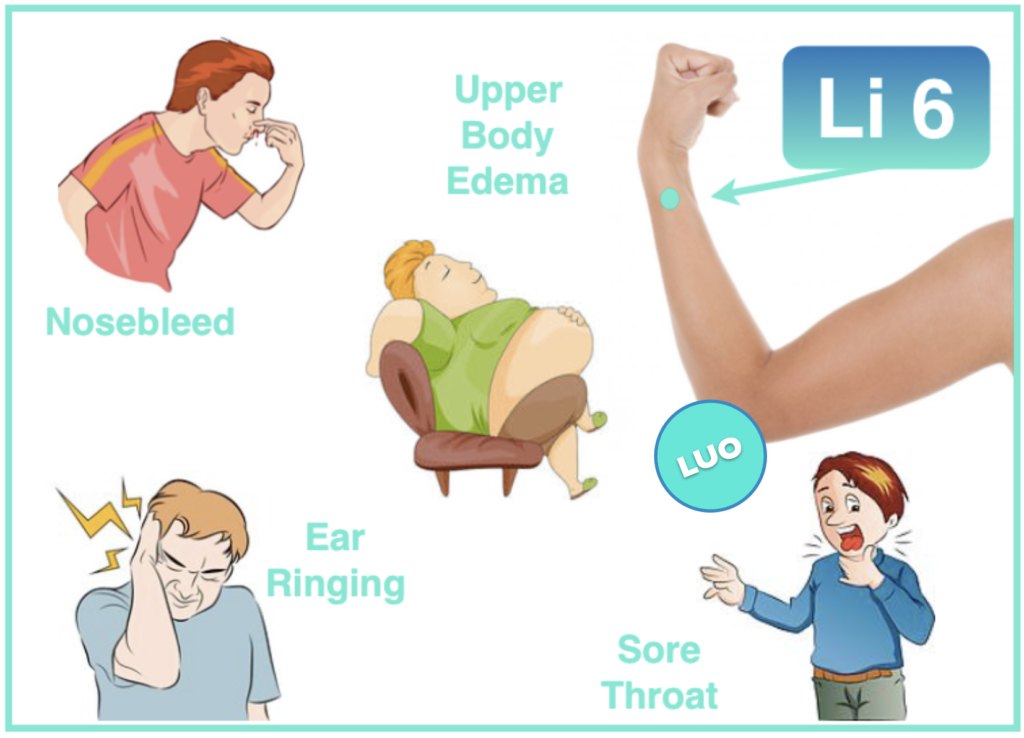 Large Intestine 6 acupuncture point Yang Organ