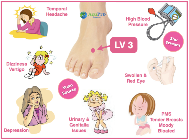 Liver Meridian Acupuncture Points (Functions & Locations)