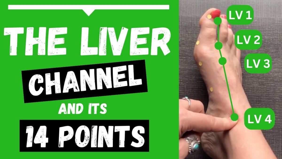 Liver Meridian Acupuncture Points (Functions & Locations)