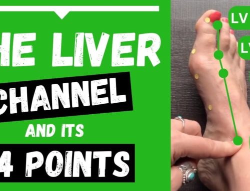 Liver Meridian Acupuncture Points (Functions & Locations)