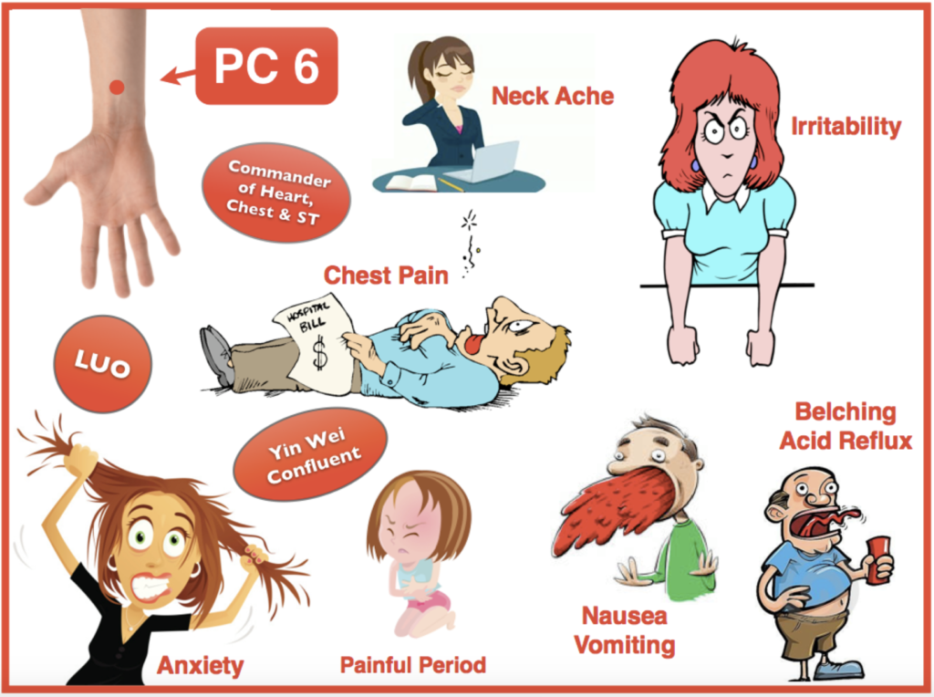 PC 6 acupuncture point Yin Organ