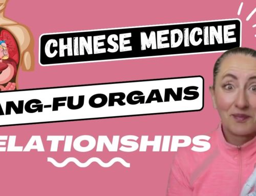 The Yin Yang Organs Relationships in Chinese Medicine Theory