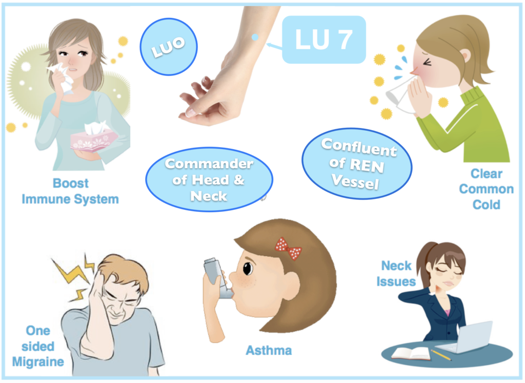Lung 7 acupuncture point