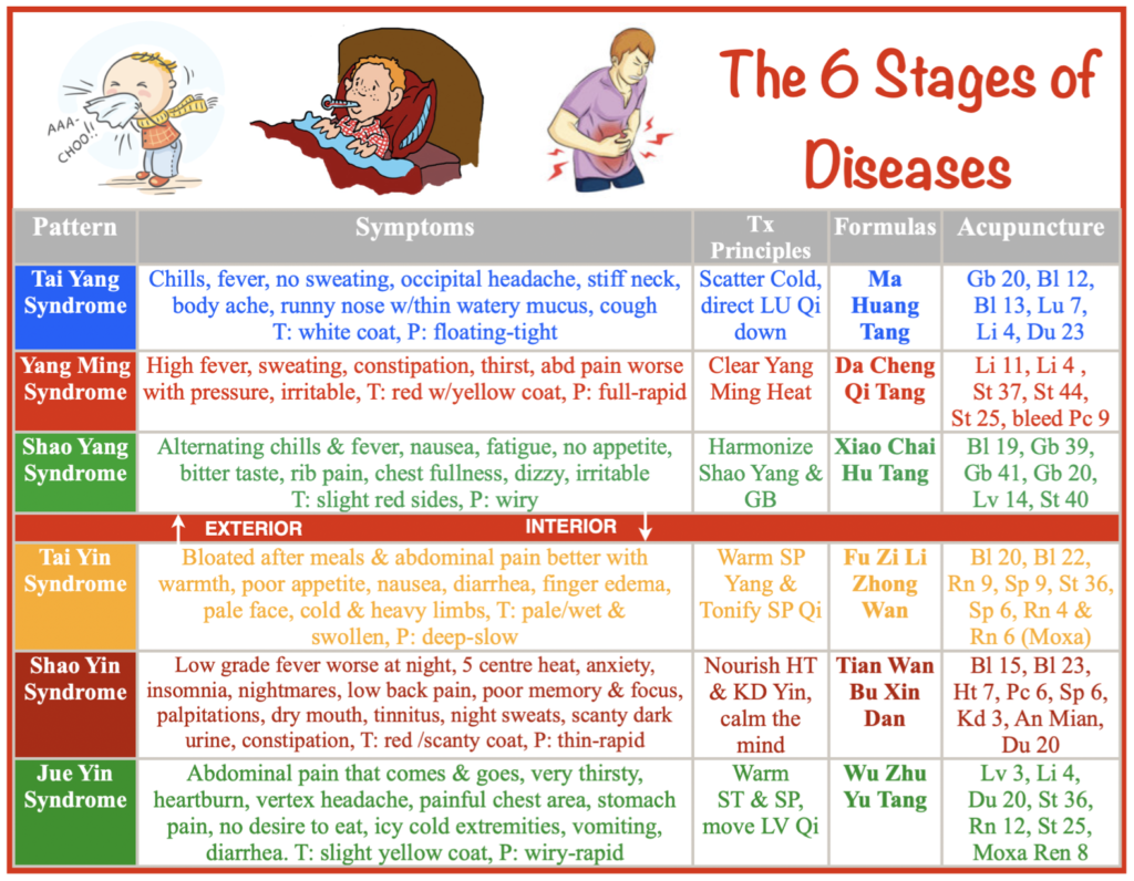 the 6 stages in TCM