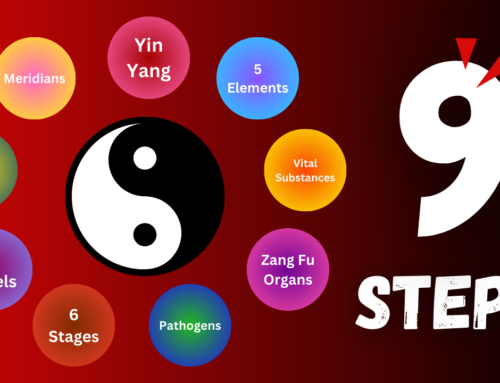 A 9 STEP Framework for effective Chinese Medicine Diagnosis