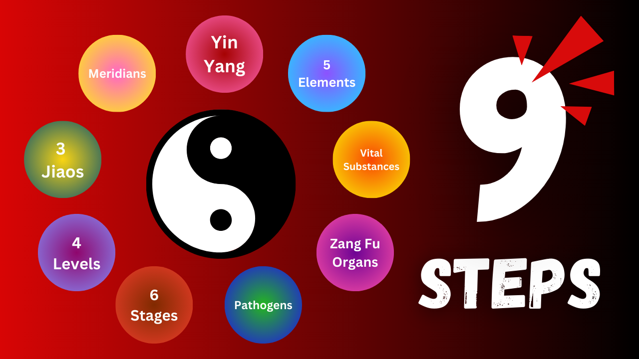 A 9 STEP Framework for effective Chinese Medicine Diagnosis