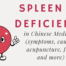 spleen qi deficiency