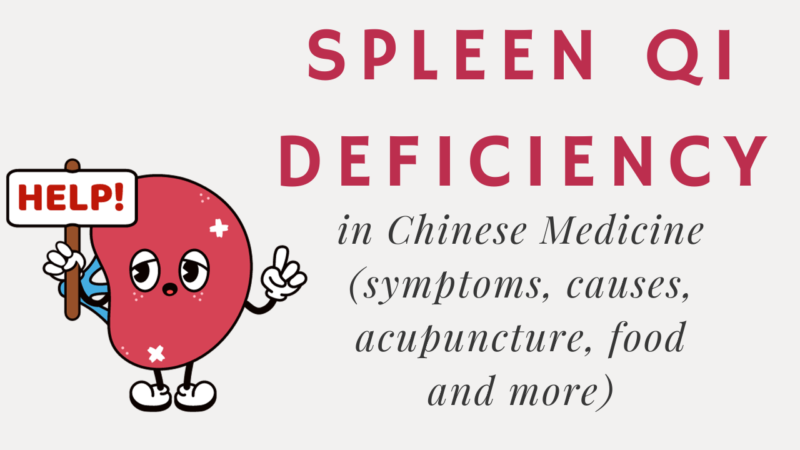 Spleen Qi Deficiency in Chinese Medicine Podcast
