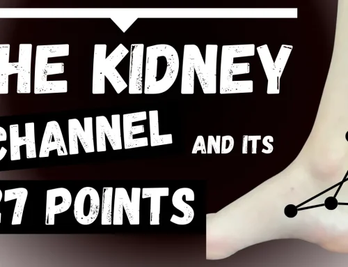 The Kidney Channel 27 Acupuncture Points
