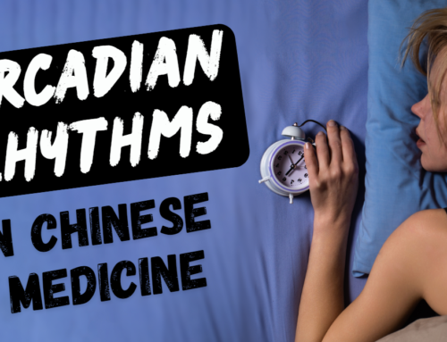 16: Circadian Rhythms in Chinese Medicine (Podcast)