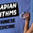 circadian rhythms in chinese medicine (2)