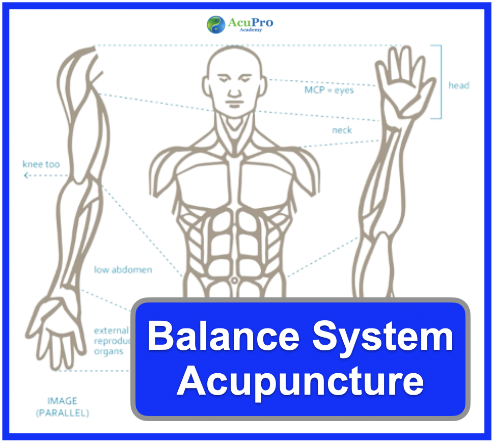 Balance System Acupuncture TCM course