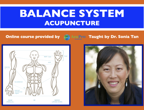 Balance System Acupuncture Online Course