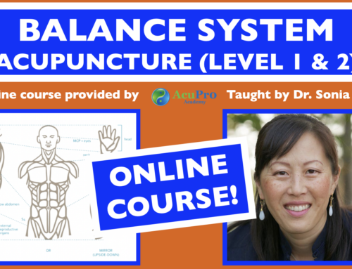 Balance System Acupuncture Foundations: Levels 1 & 2 (Single + Multiple Systems) Online Courses