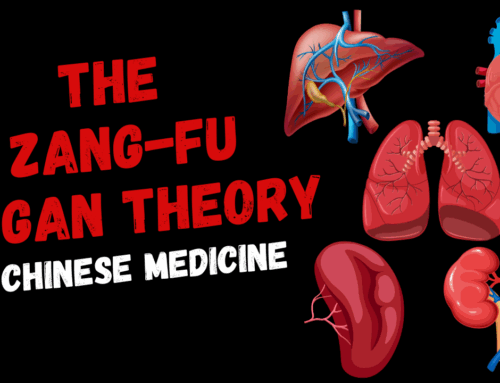 #71 – The Zang-Fu Organ Theory in Chinese Medicine (Podcast)