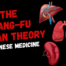 the zang fu organ theory in chinese medicine
