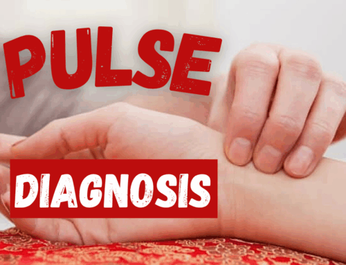 What If Chinese Pulse Diagnosis Was Actually Simple? TCM Made Easy