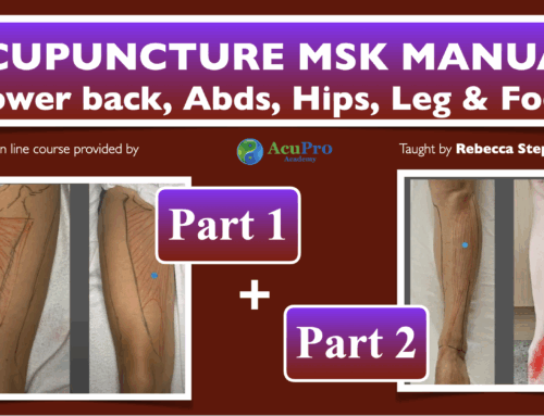 The Acupuncturist Musculoskeletal Manual: Parts 1 & 2 (Lower Body) Online Courses