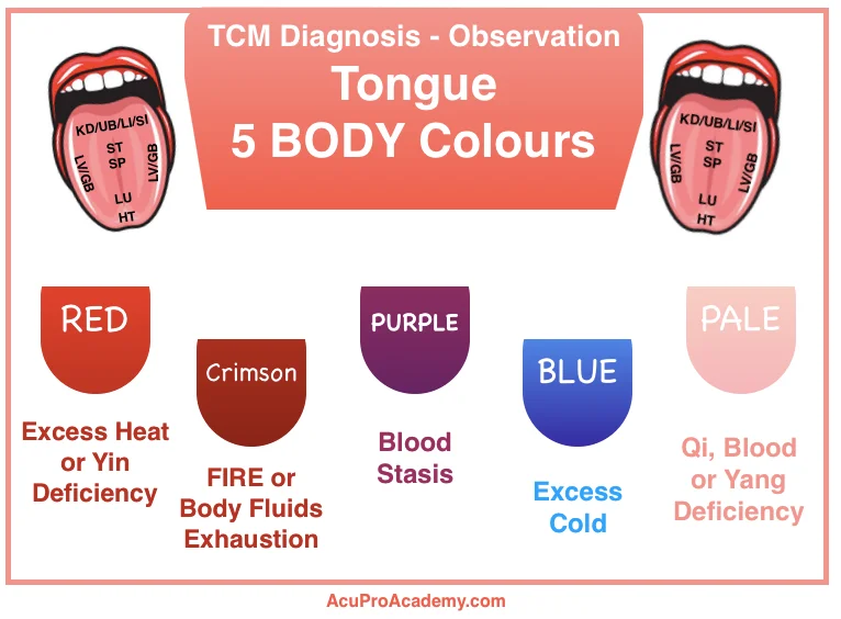body's signals tongue 5 body colours