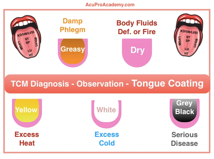 body's signals tongue observation coating