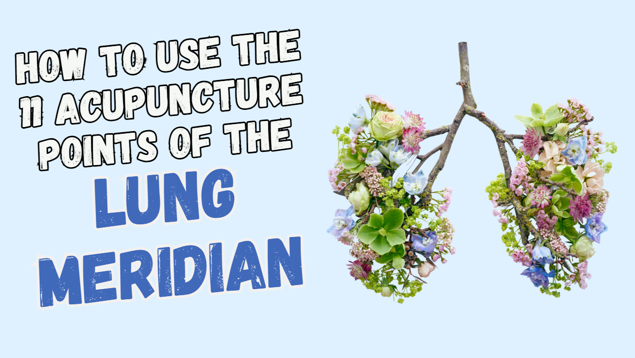 how to use the 11 acupuncture points of the lung meridian