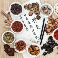 TCM Nutrition and Herbal Medicine mobile