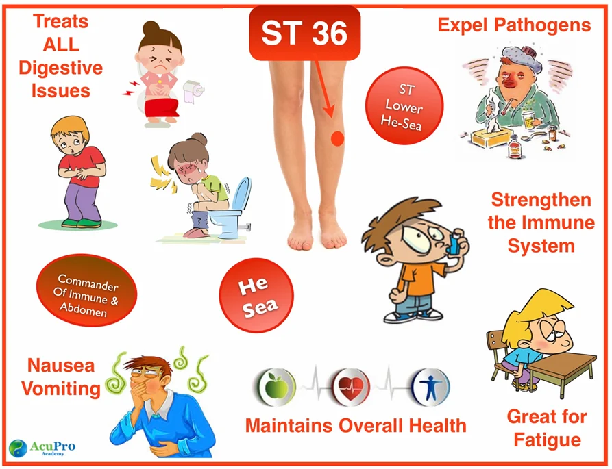 ST 36