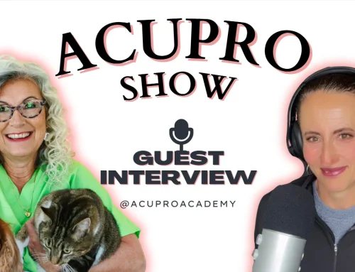 #135 – Why Animals Also Benefit From Acupuncture with Dr. Judy Morgan (Podcast)