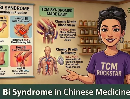 #140 – Bi Syndrome in Chinese Medicine (Podcast)