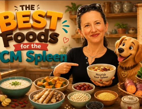 #136 – The BEST Foods for the TCM Spleen (Podcast)