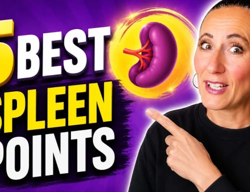 Top 5 Spleen Acupuncture Points YOU Need to Use in Practice!