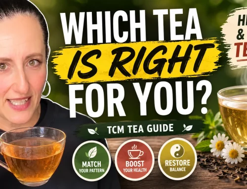Top 12 Teas Health Benefits in TCM (Nature, Flavour, Actions)