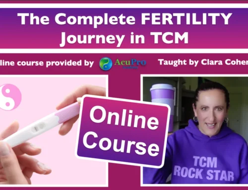 The Complete Fertility Journey in TCM Online Course